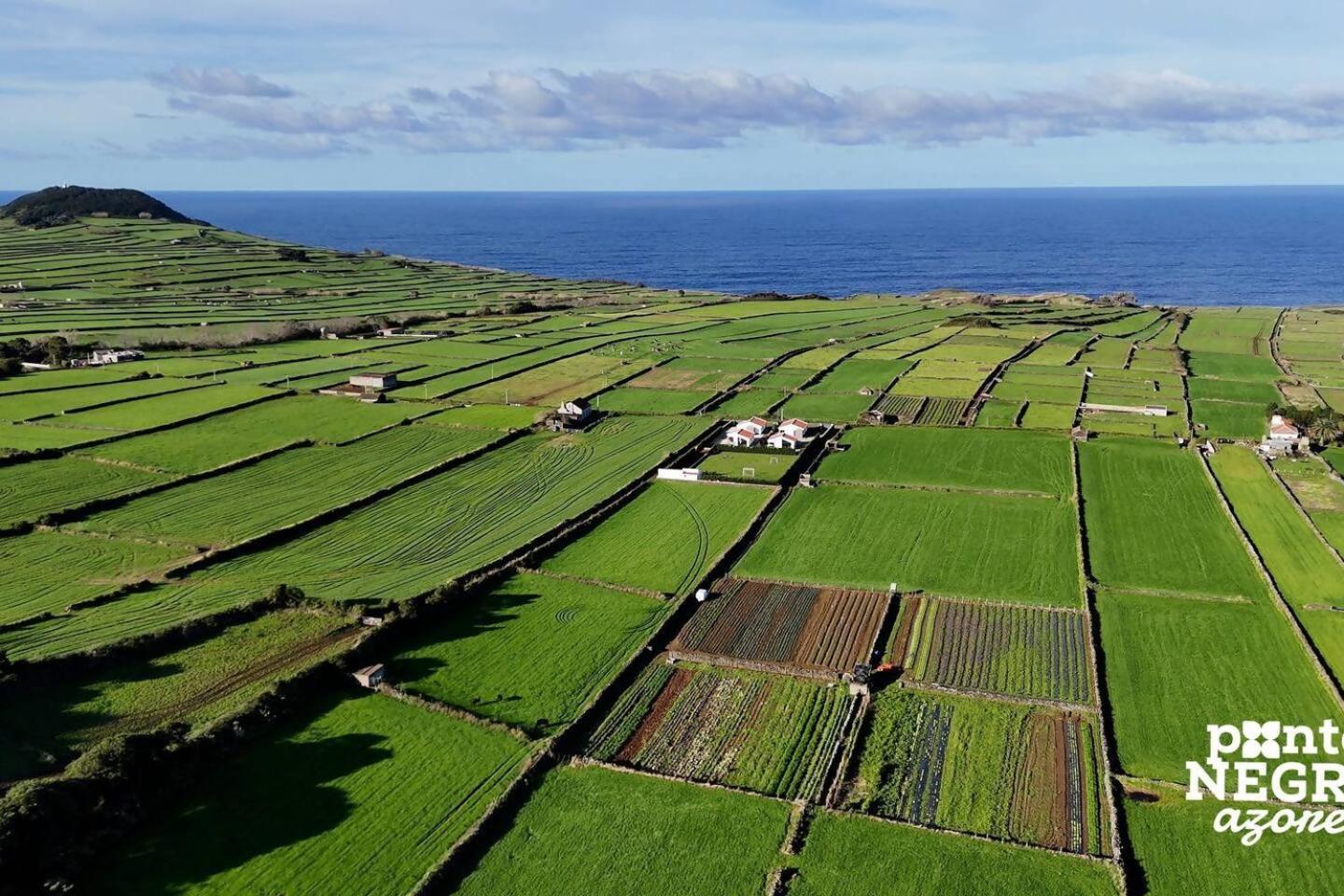 Wine House By Ponta Negra Azores Altares Luaran gambar